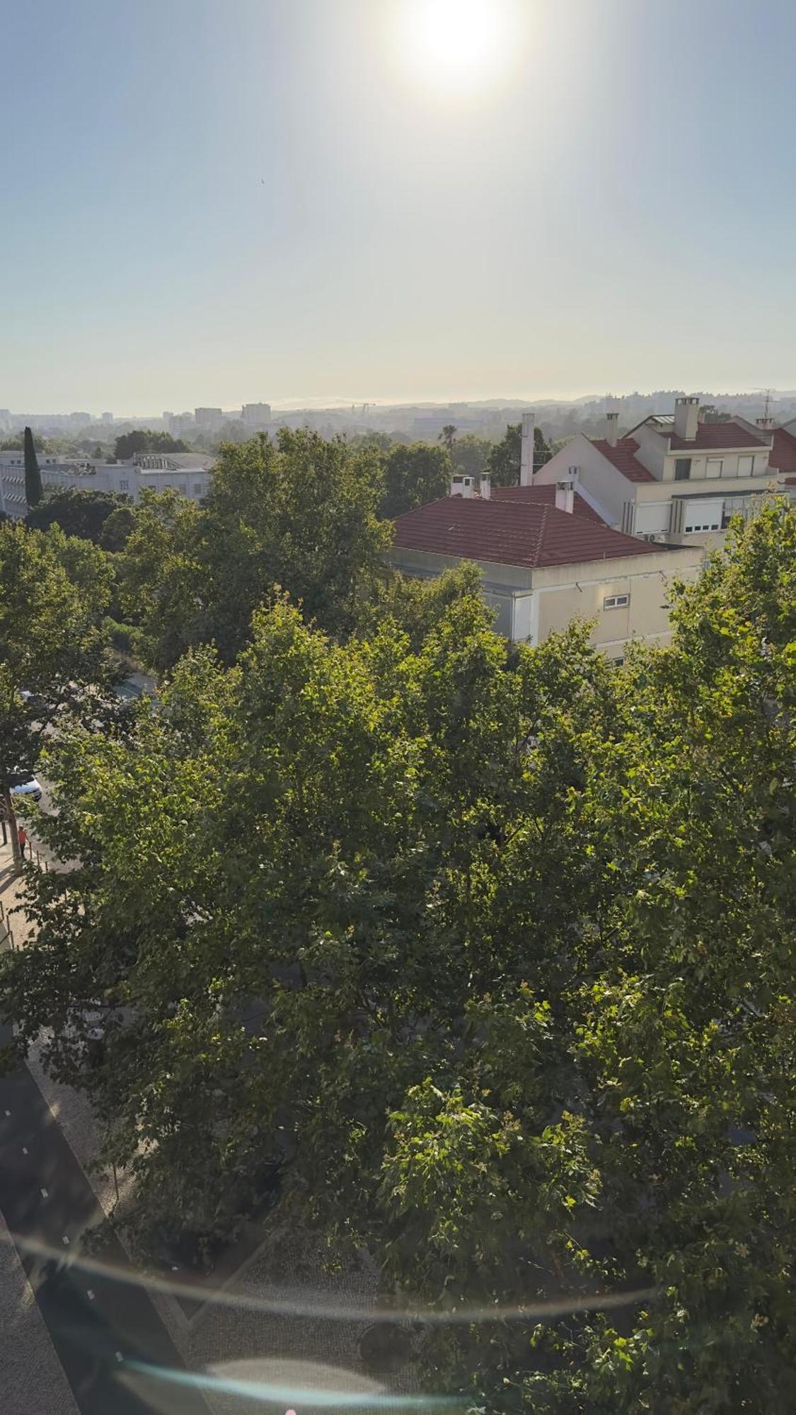 Room Alvalade Lisboa Dış mekan fotoğraf