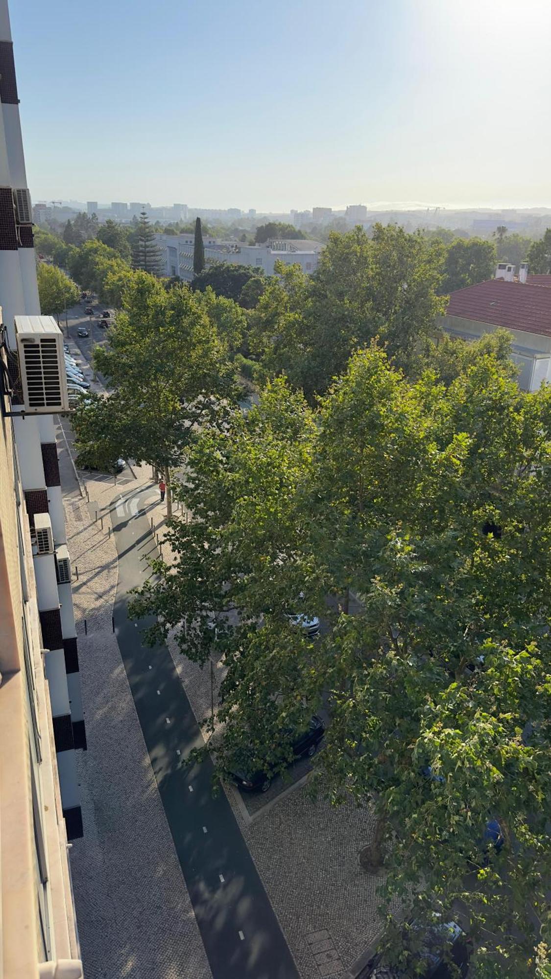 Room Alvalade Lisboa Dış mekan fotoğraf